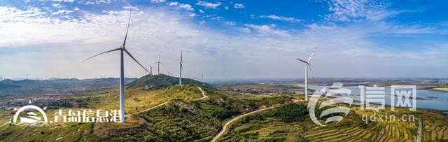 青島國際種都核心區(qū)構建種業(yè)高地 即墨區(qū)助推青島建設農(nóng)業(yè)強市