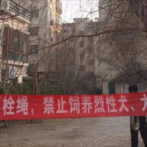 牽好“安全繩”！李園街道綜合行政執(zhí)法中隊(duì)持續(xù)開展文明養(yǎng)犬專項(xiàng)整治行動(dòng) ...