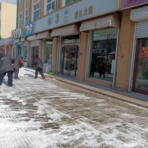 南村執(zhí)法中隊(duì)清掃積雪在行動(dòng)！