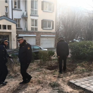 平度市東閣街道執(zhí)法中隊(duì)集中整治占綠毀綠，營(yíng)造整潔、美好的人居環(huán)境 ...