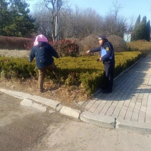 同和執(zhí)法中隊:“嚴格執(zhí)法，守護綠色家園”園林綠化執(zhí)法巡查工作 ...
