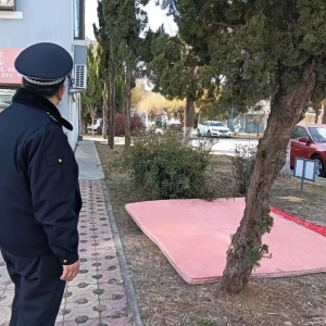 平度市東閣街道執(zhí)法中隊(duì)整治占綠毀綠，守護(hù)美好家園
