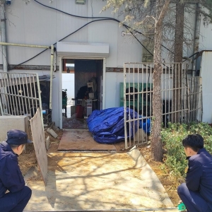 平度市東閣街道執(zhí)法中隊：隨意損壞植被，罰