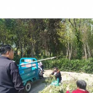 平度市東閣街道執(zhí)法中隊“信用+執(zhí)法”，呼吁廣大市民愛綠護綠 ...