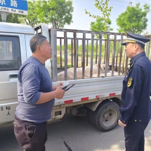 同和執(zhí)法中隊“信用+執(zhí)法”檢查生豬疫證