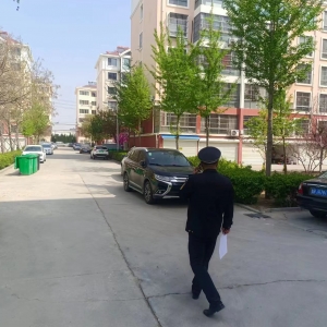 同和執(zhí)法中隊：加強園林綠化執(zhí)法巡查，守護城市綠色之美