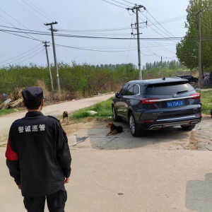 鳳臺執(zhí)法中隊：文明養(yǎng)犬，你我共行