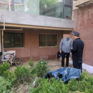 查處毀綠行為，還居民美好家園