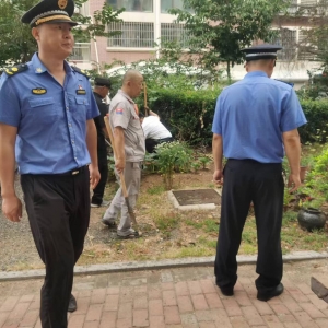 李園街道綜合行政執(zhí)法中隊(duì)：清理“小菜園” 美化“大家園” ...