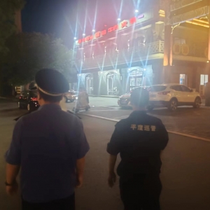 同和執(zhí)法中隊(duì)：加強(qiáng)夜間文明養(yǎng)犬執(zhí)法巡查工作，共同建設(shè)和諧社區(qū) ...