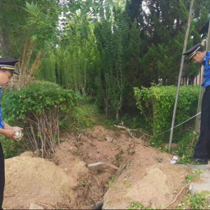毀綠行為不可取，綜合執(zhí)法護綠色