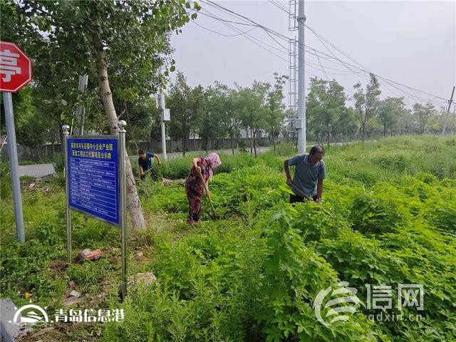 青島市首個以工代賑中央預算內投資項目正式開工
