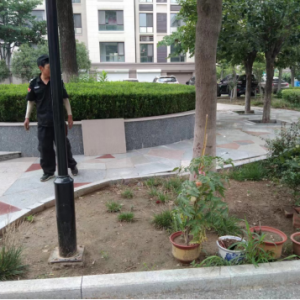 同和執(zhí)法中隊：加強園林綠化執(zhí)法巡查，守護城市綠色空間