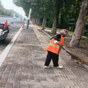 全面清理落葉，確保道路干凈整潔