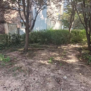 平度市東閣街道執(zhí)法中隊(duì)整治占綠毀綠，守護(hù)城市綠色空間
