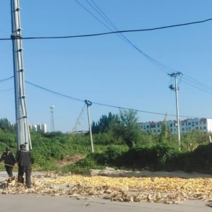 同和執(zhí)法中隊“信用+執(zhí)法”違規(guī)曬糧執(zhí)法巡查
