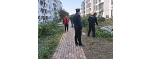 李園街道綜合行政執(zhí)法中隊：對侵占綠地種菜行為說“不”！ ...