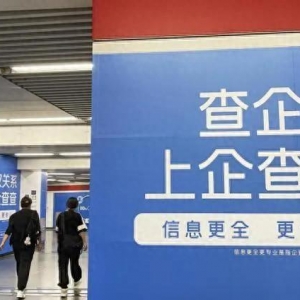 IPO觀察丨企查查沖擊資本市場，商業(yè)查詢是門好生意嗎