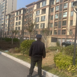 平度市東閣街道執(zhí)法中隊(duì)緊盯群眾“急難愁盼”，集中整治占綠毀綠 ...