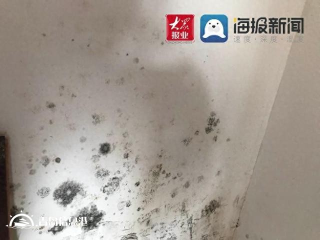 插座漏水墻皮脫落，領(lǐng)秀珊瑚灣新房質(zhì)量堪憂