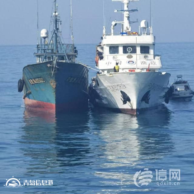 青島市海洋局開展海陸聯(lián)動執(zhí)法 嚴查涉漁領(lǐng)域違法行為