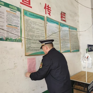 守護水域生態(tài)：嚴厲打擊非法捕撈，共護水生生物家園