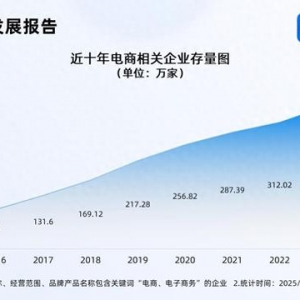 年貨節(jié)成績(jī)單亮眼 國(guó)內(nèi)電商相關(guān)企業(yè)存量破380萬家