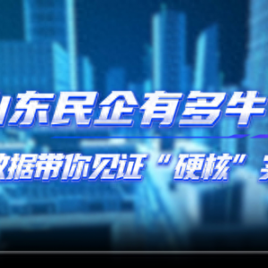 山東民企有多牛？一組數(shù)據(jù)帶你見證“硬核”實(shí)力