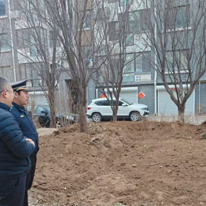 平度市東閣街道執(zhí)法中隊(duì)“信用+”整治占綠毀綠，守護(hù)綠色家園 ...