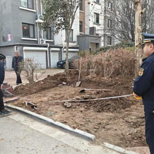 平度市東閣街道執(zhí)法中隊(duì)整治占綠毀綠，筑牢城市生態(tài)屏障
