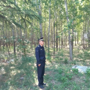 同和中隊：春風(fēng)里的護(hù)花使者，執(zhí)法巡查守護(hù)春日綠意