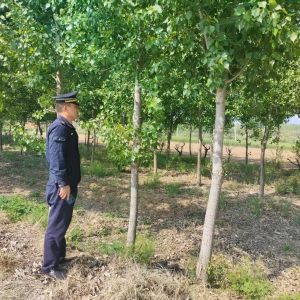 同和中隊(duì)：守護(hù)城市綠脈，繪就生態(tài)新圖