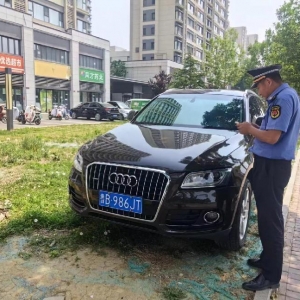 守護(hù)城市公共綠地 鳳臺執(zhí)法中隊整治占綠停車現(xiàn)象
