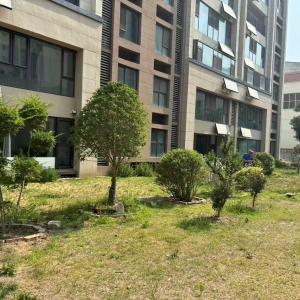 同和中隊(duì)：以鐵腕執(zhí)法守護(hù)城市綠脈，讓生態(tài)之美永駐人間