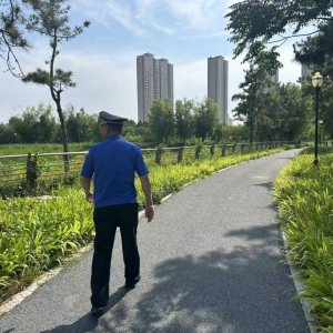 加強園林綠化巡查，守護“綠色成果”