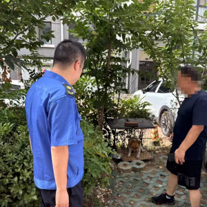 平度市東閣街道執(zhí)法中隊推進文明養(yǎng)犬，共筑和諧宜居城市
