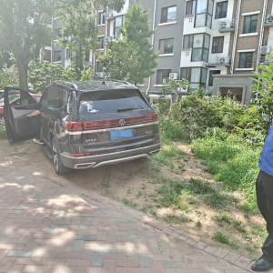 平度市東閣街道執(zhí)法中隊整治占綠毀綠亂象，維護公共利益