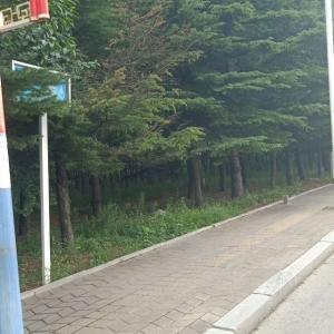 同和中隊(duì)：清除城市“牛皮癬”，小廣告執(zhí)法巡查記