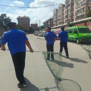 “流浪犬只管理＋文明養(yǎng)犬宣傳” 共建城市文明