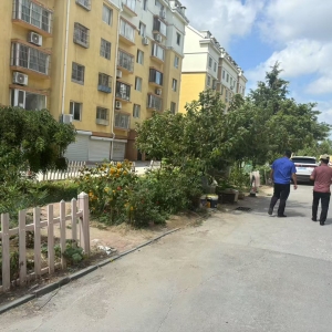 同和中隊(duì)：守護(hù)小區(qū)綠意，驅(qū)散“菜地” 亂象