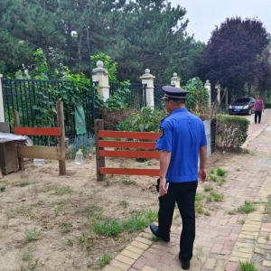 平度市東閣街道執(zhí)法中隊(duì)“信用+”聚焦占綠毀綠，全鏈條守護(hù)城市綠地 ...