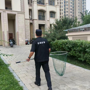 鳳臺執(zhí)法中隊(duì)：整治流浪犬 筑牢安全防線