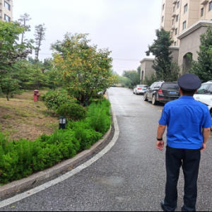 清理占綠狗籠，保障居民公共利益