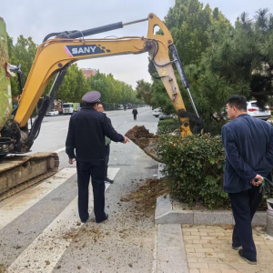 平度市鳳臺執(zhí)法中隊(duì):守護(hù)綠化帶改造 繪生態(tài)民生雙升卷